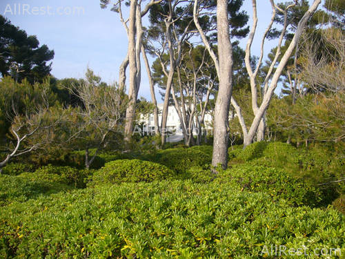 Hotel du Cap Eden-Roc 13